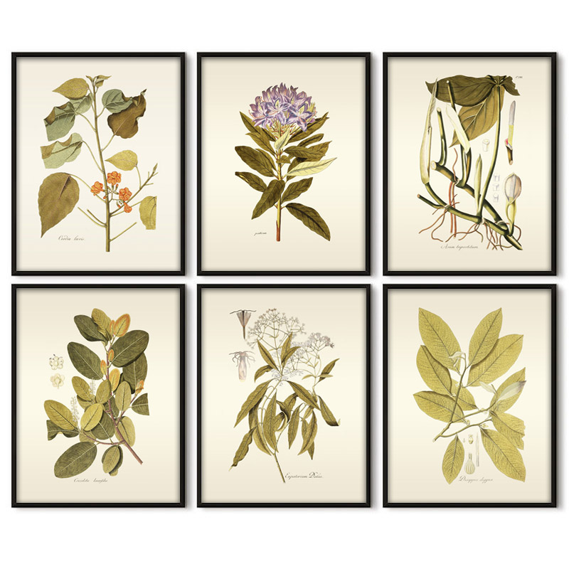 Herbaceous Plant Wall Art Pain - Office Furniture York recension och pris