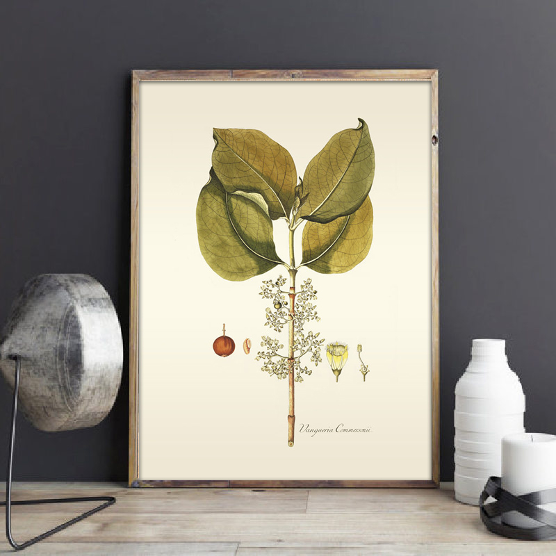 Herbaceous Plant Wall Art Pain - Office Furniture York recension och pris