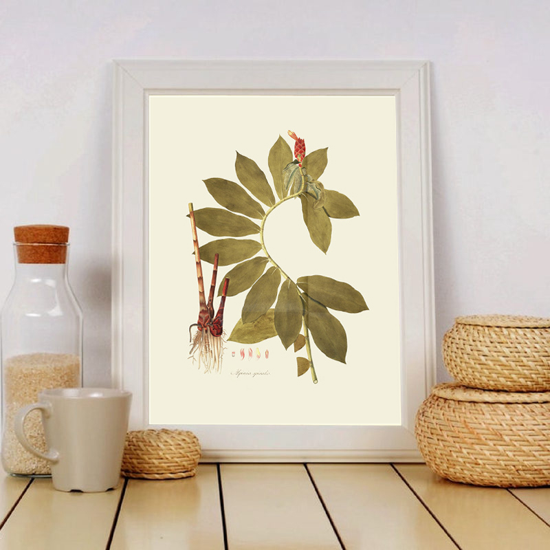 Herbaceous Plant Wall Art Pain - Office Furniture York recension och pris