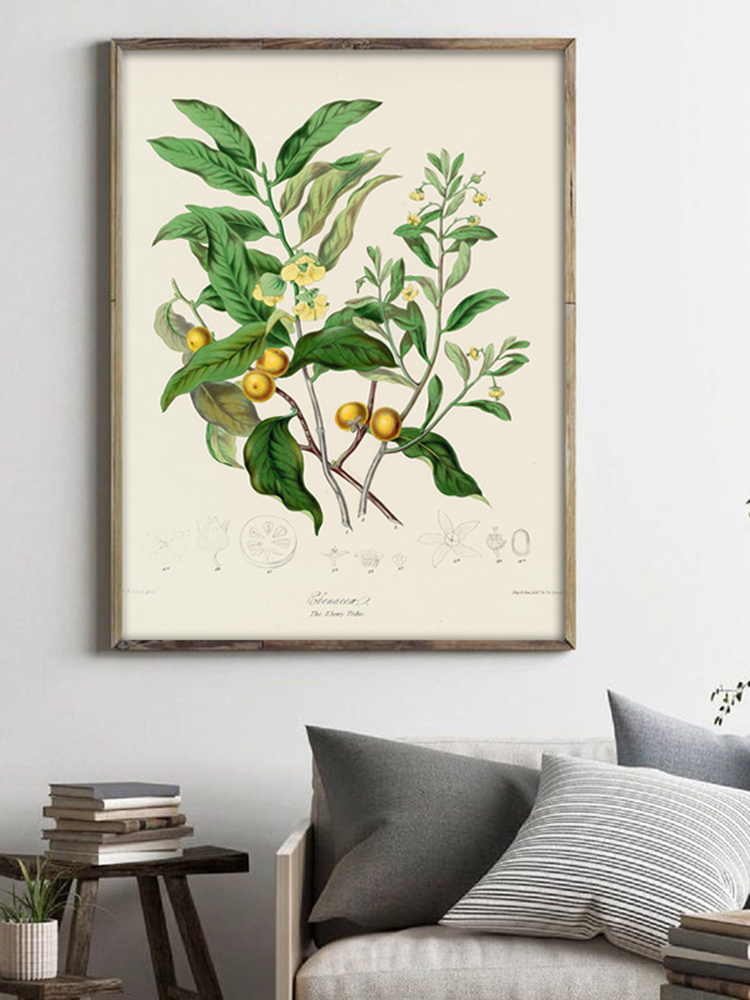 Herbaceous Plant Wall Art Pain - Office Furniture York recension och pris
